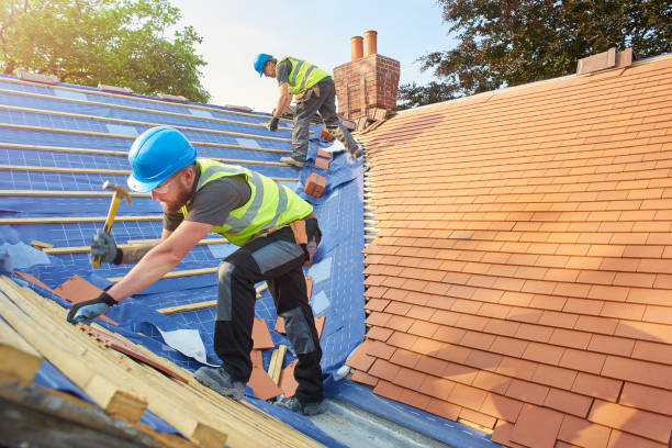 Best Gutter Installation and Repair  in Dutch Island, GA